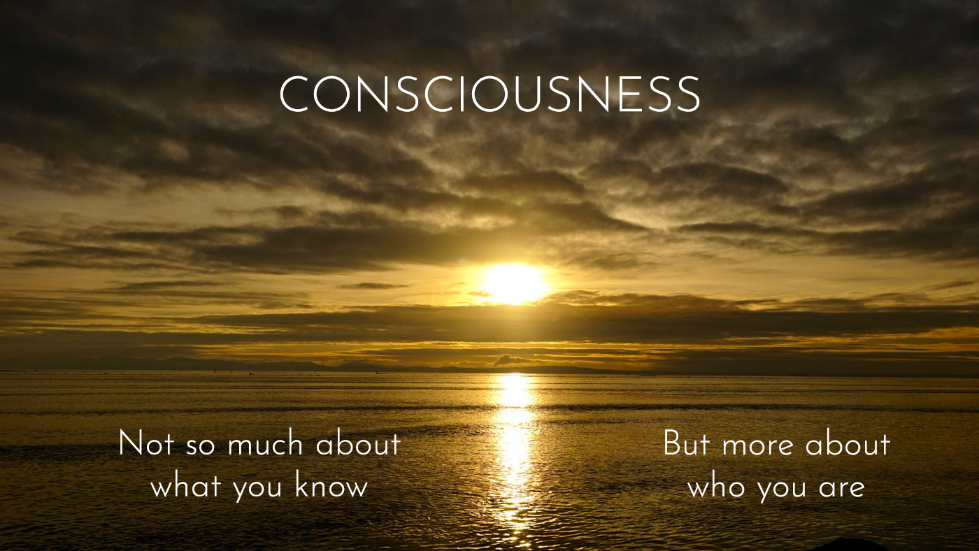 Consciousness