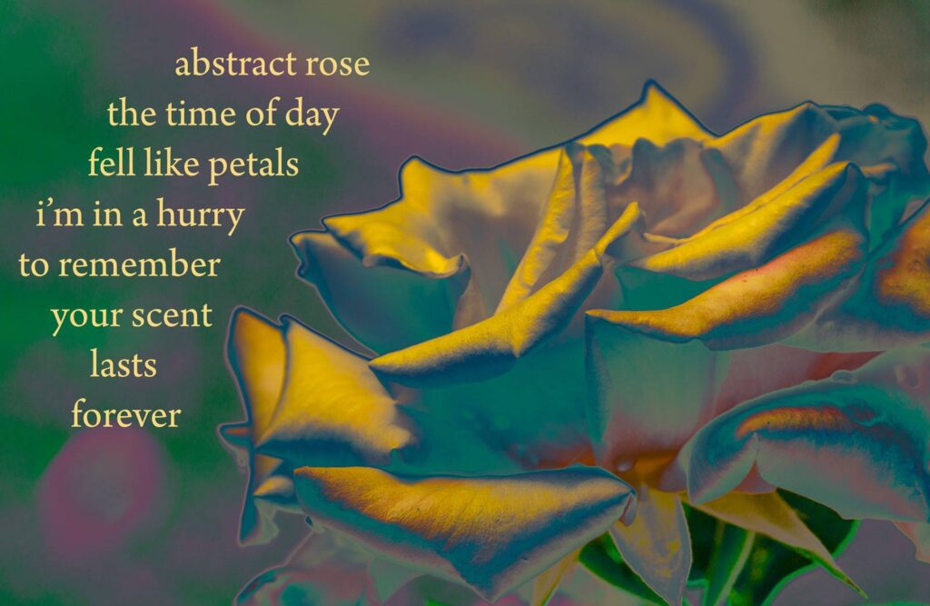 Abstract Rose with Poetry